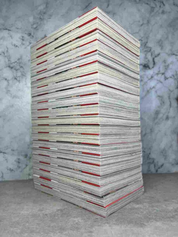 Fire force : tomes 1 a 20