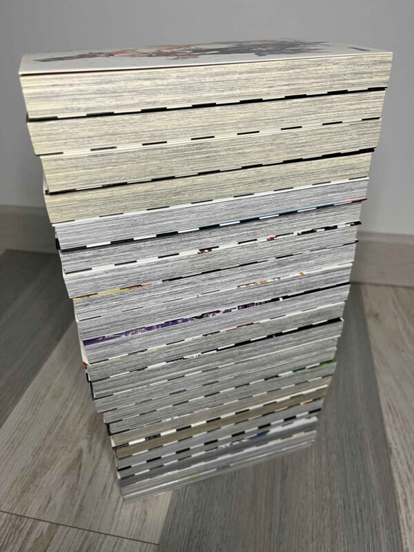 D.Gray-Man tomes du 1 au 22