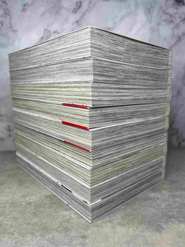 Many Reasons Why  :  Collection Complète - 9  Tomes