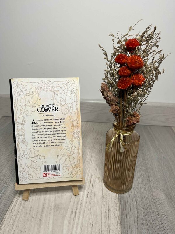 Black Clover : Tome 2