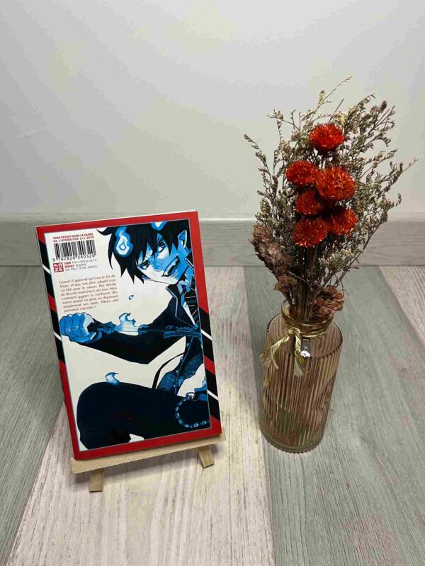 Blue Exorcist : Tome 1