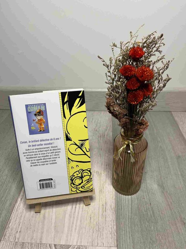 Detective Conan : Tome 1