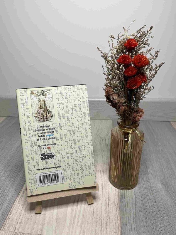 Death Note : Tome 12