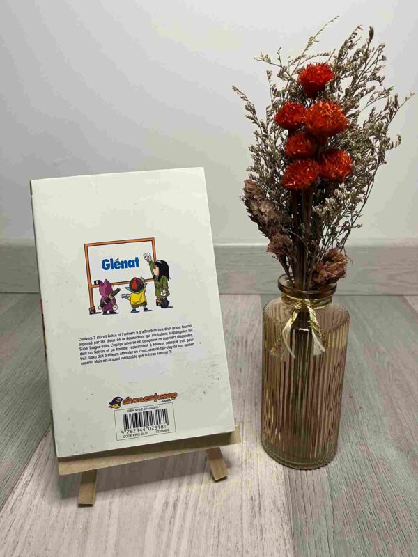 Dragon Ball Super :  Tome 2