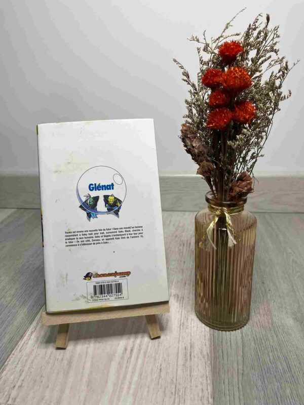 Dragon Ball Super :  Tome 3