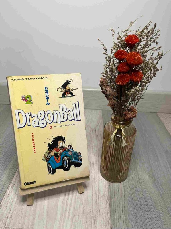 Les dragon balls sont des boules de cristal magiques. Celui qui les réunit invoque un dragon qui réalisera ses voeux. Sangoku, Dendé, Végéta