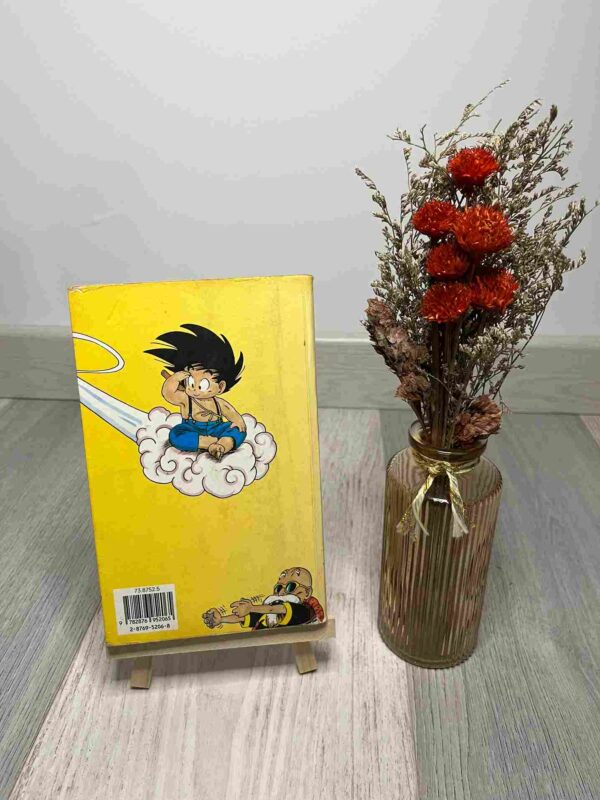 DRAGON BALL : Editon Pastel - Tome 2