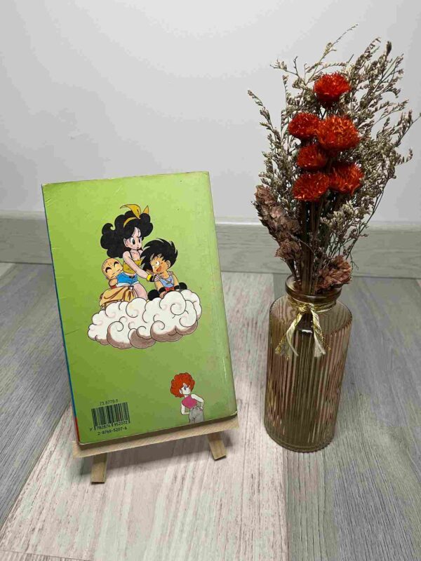 DRAGON BALL : Editon Pastel - Tome 3