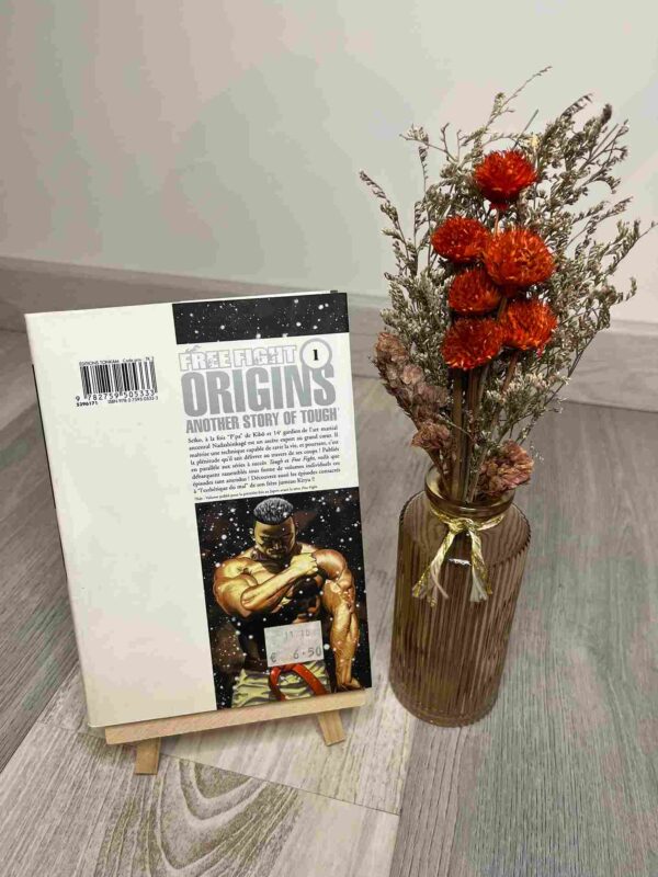 Free Fight - Origins  :  Tome 1