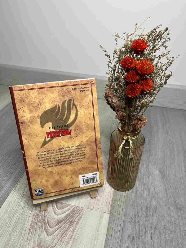 Fairy Tail  :  Tome 9