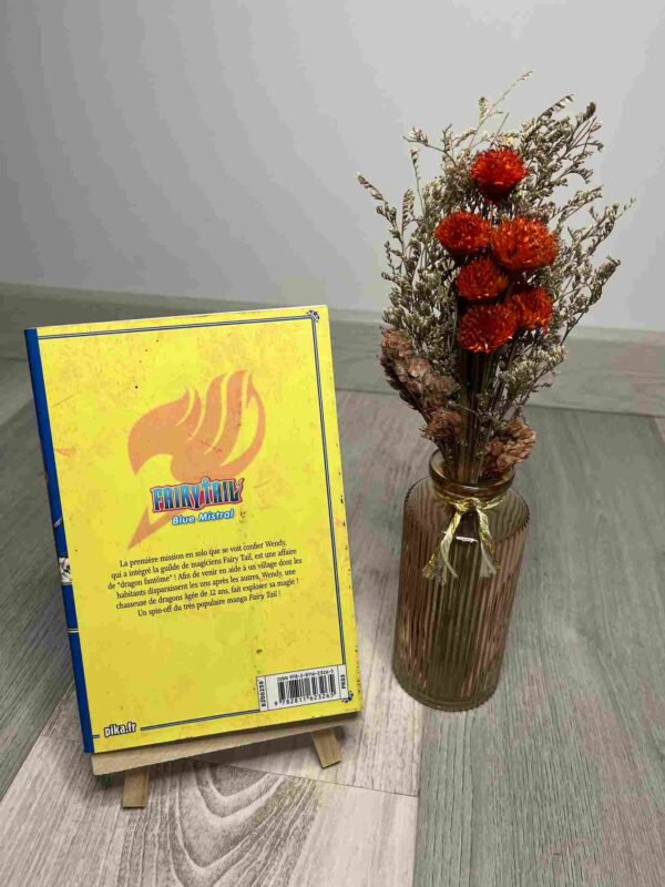 Fairy Tail - Blue Mistral : Tome 1