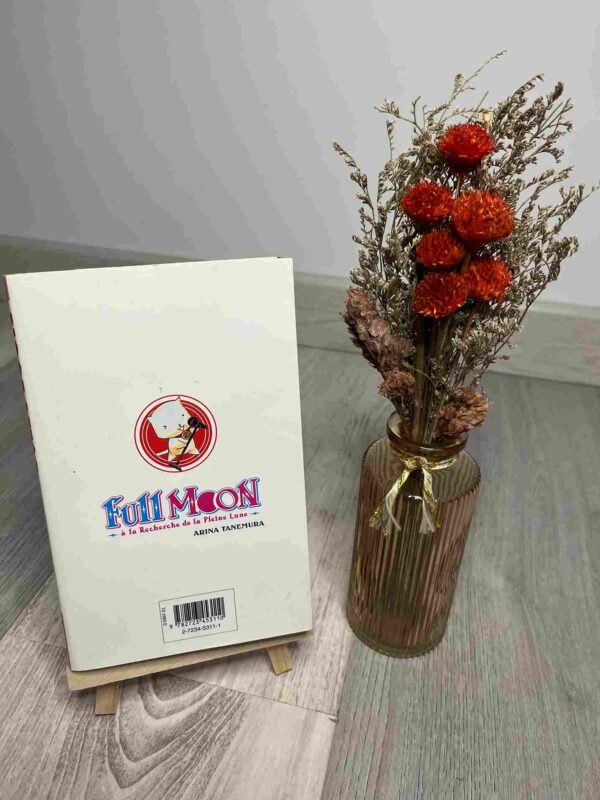 Full Moon  :  Tome 2