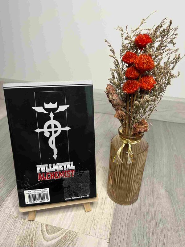 Fullmetal Alchemist :  Tome 1