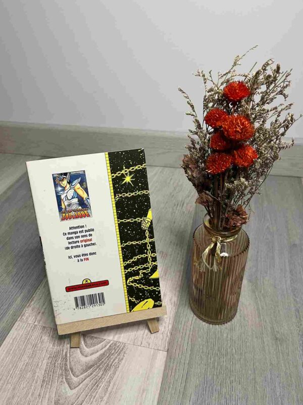 Les Chevaliers Du Zodiaque - Saint Seiya : Tome 2