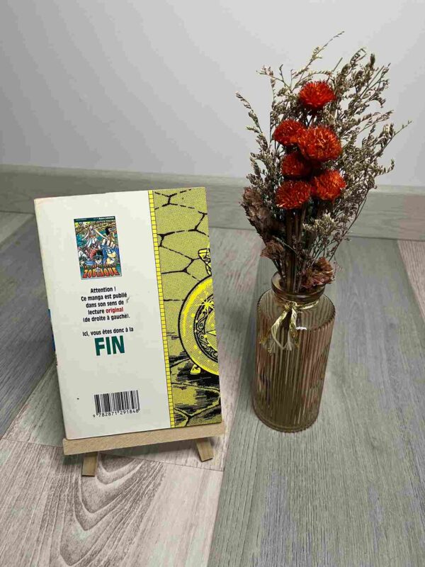 Les Chevaliers Du Zodiaque - Saint Seiya : Tome 13