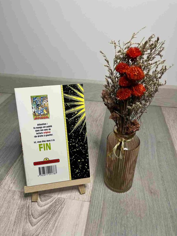 Les Chevaliers Du Zodiaque - Saint Seiya : Tome 11