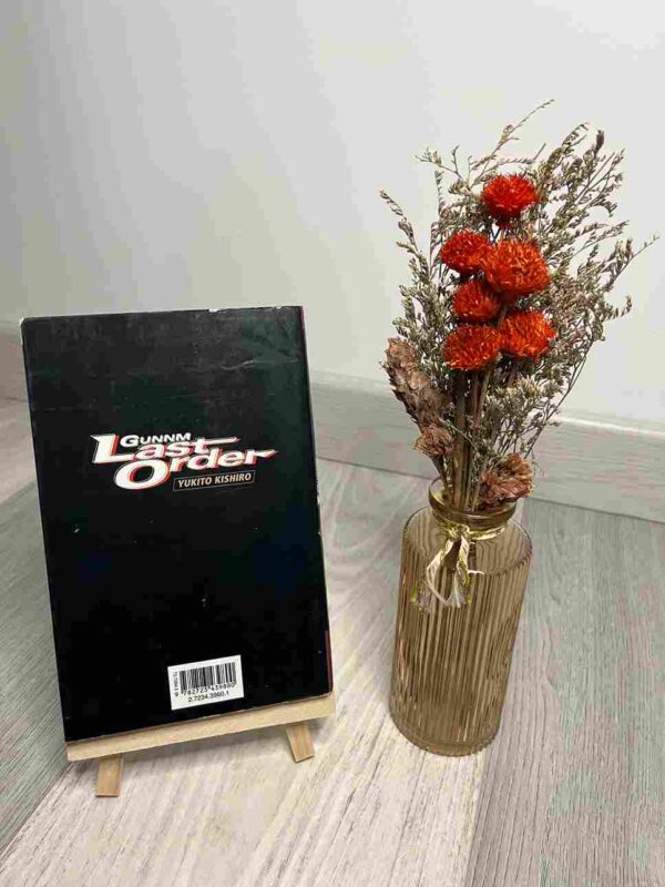 Gunnm - Last Order  : Tome 1