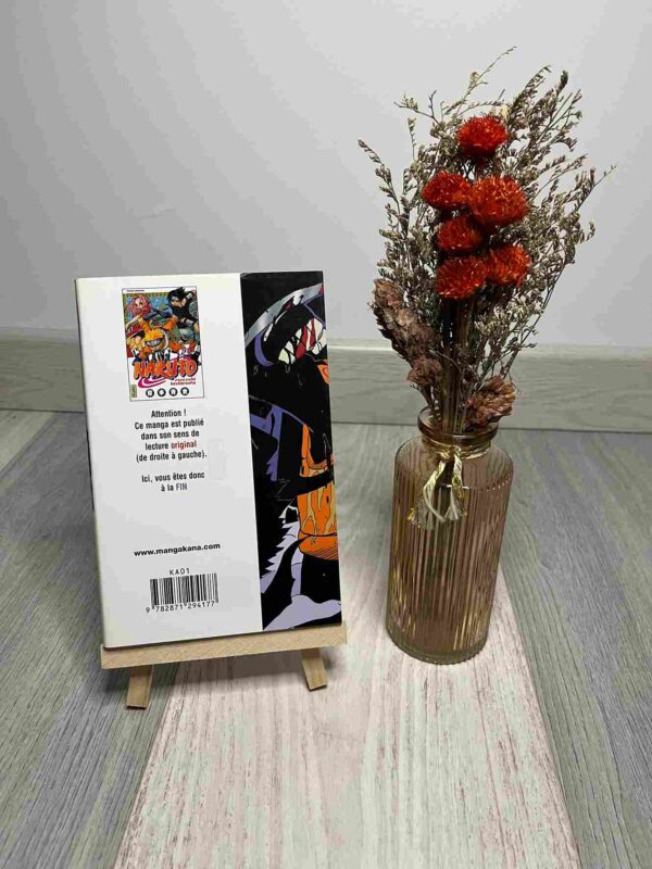 Naruto : Tome 2