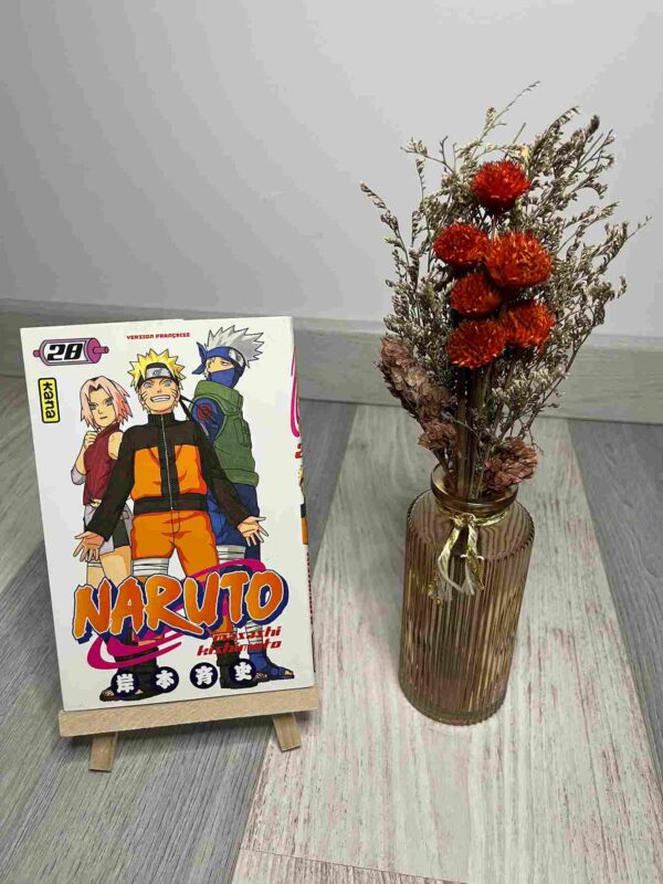 Naruto est un garçon un peu spécial. Il est toujours tout seul et son caractère fougueux ne l'aide pas vraiment à se faire apprécier dans son village.