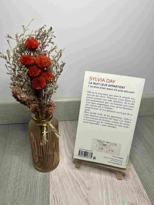 La nuit leur appartient