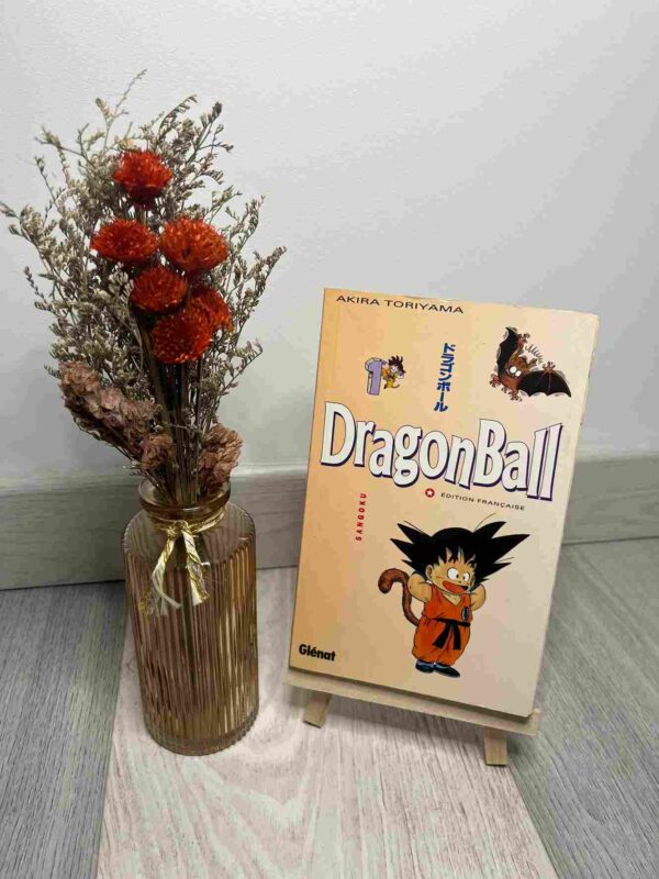 Les dragon balls sont des boules de cristal magiques. Celui qui les réunit invoque un dragon qui réalisera ses voeux. Sangoku, Dendé, Végéta