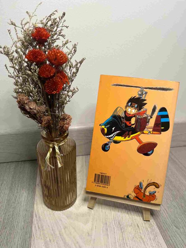 DRAGON BALL : Editon Pastel - Tome 1
