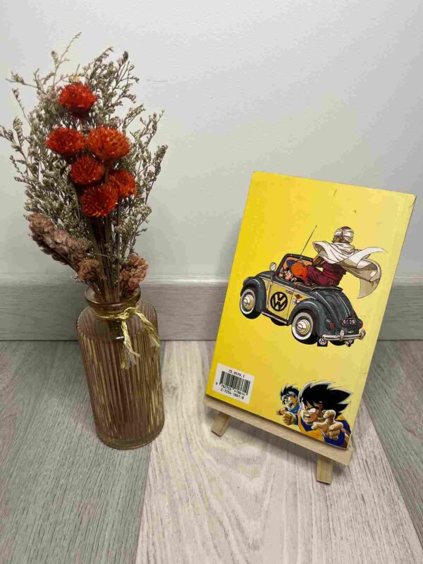 DRAGON BALL : Editon Pastel - Tome 18