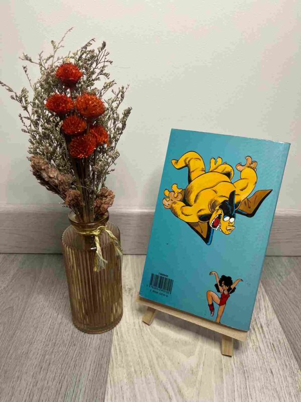 DRAGON BALL : Editon Pastel - Tome 4