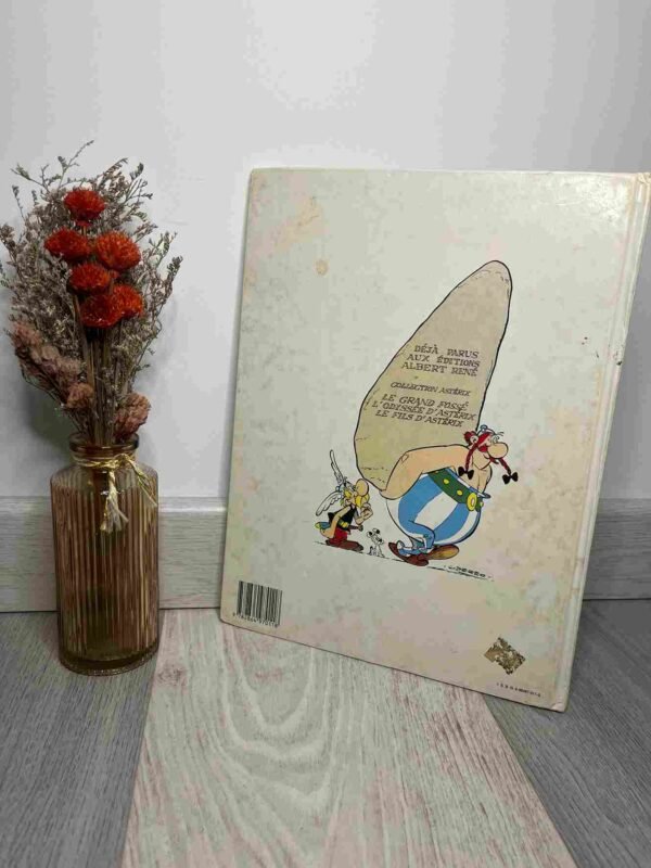 Asterix / Obelix  : Le Fils D'Asterix