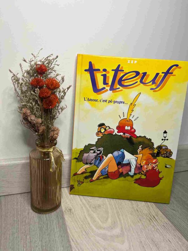 Titeuf est un petit garçon de 8 ans, qui comme tout petit garçon a des parents,une soeur(Zizie) et des copains.