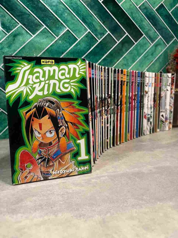 Les shamans ont le pouvoir de communiquer avec les esprits. Yoh brigue le titre de "Shaman king'. Aidé par ses amis et par Amidamaru, un esprit samouraï