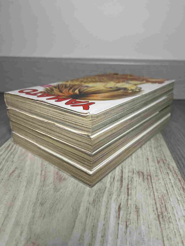 Yamato Nadeshiko : Tome du 1 au 4