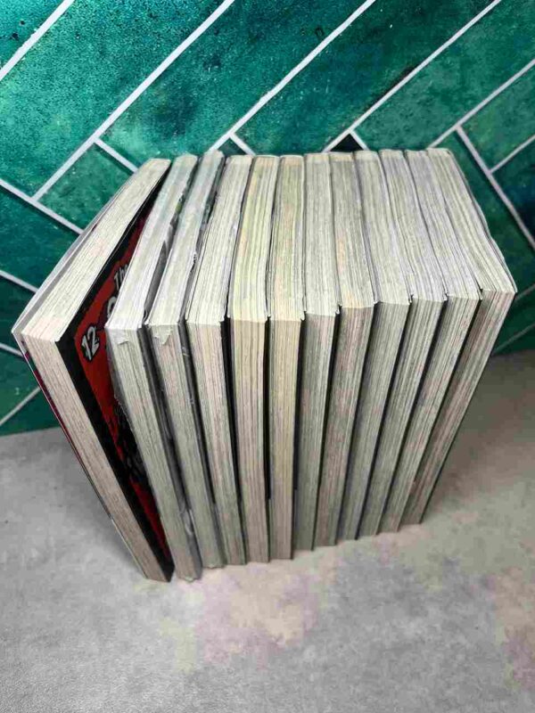 The Qwaser of Stigmata  :  Tomes du 1 au 12