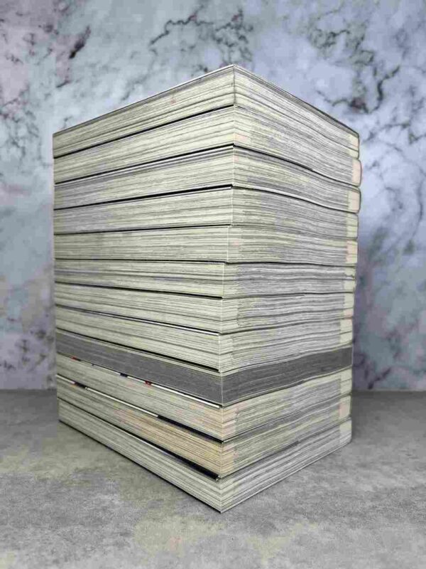 Afterschool Charisma  : Collection complète - 12 Tomes