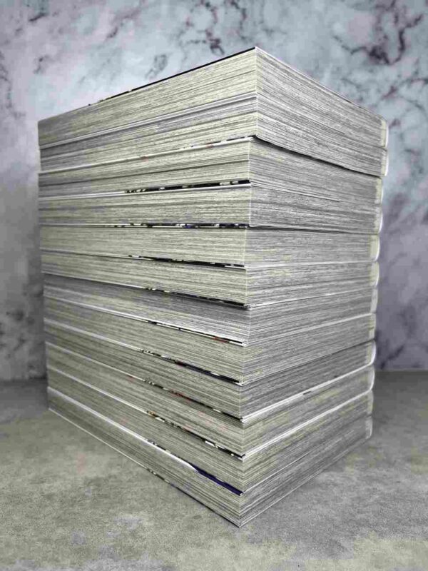 I'm Standing on a Million Lives - Intégrale : 12 Tomes ( série en cours )