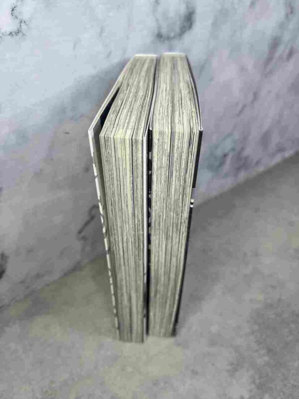 Ni No Kuni  : collection complète -  2 Tomes