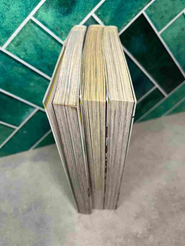 Amnesia  : Collection Complète 3 tomes