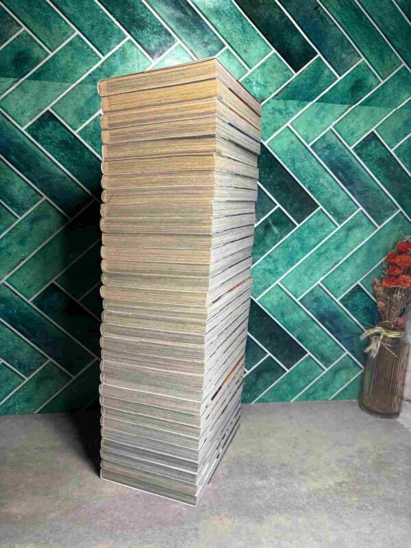 Baki - Edition DELCOURT - Collection complète : 31 tomes