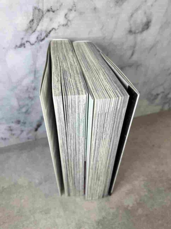 Hokuto No Ken - La Legende de Raoh : Tome du 1 au 2 - édition perfect