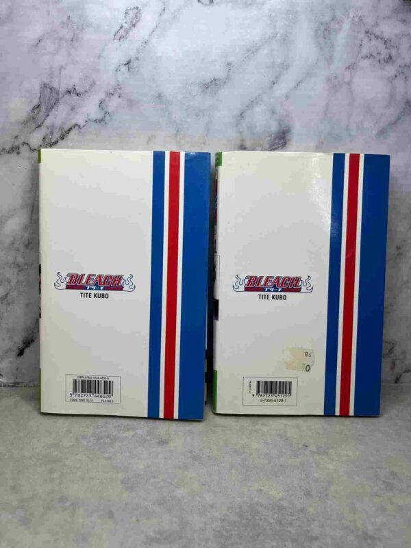 Bleach : Tomes 10 et 11