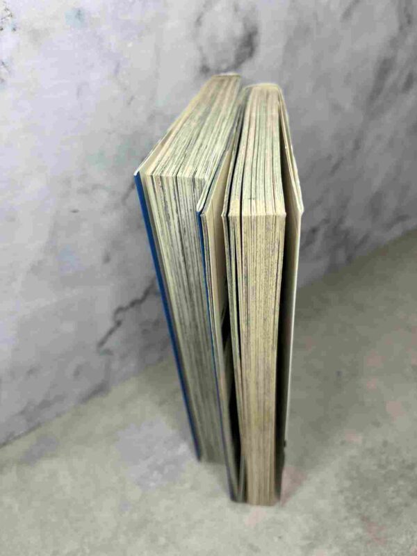 Bleach : Tomes 10 et 11