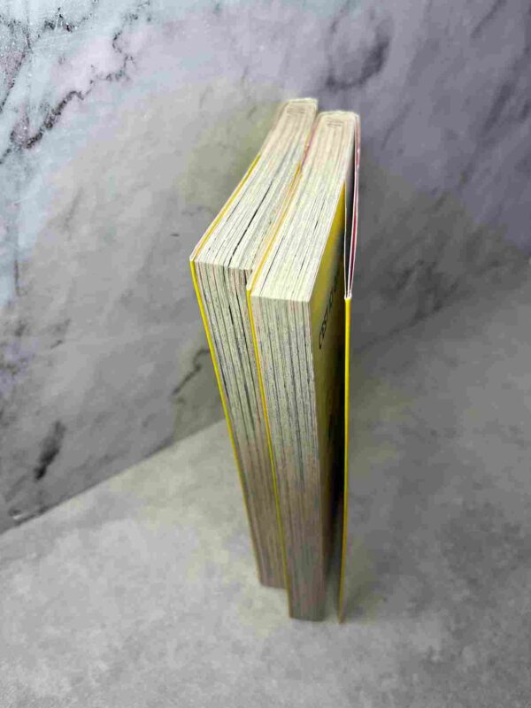 Step up -  Love Story  : Tomes 28 et 29