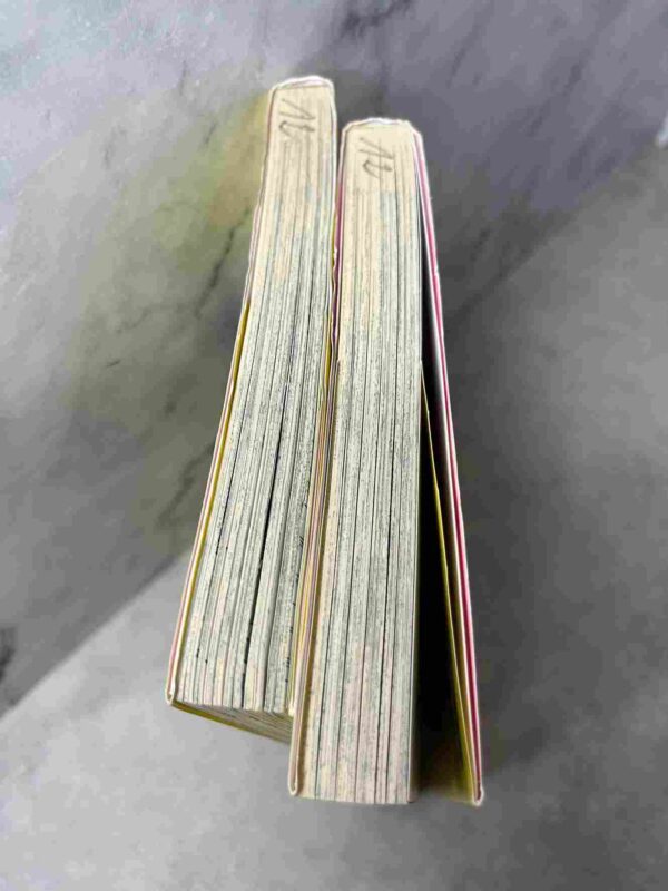 Step up -  Love Story  : Tomes 28 et 29