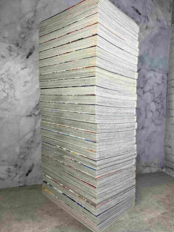 Saint Seiya - The Lost Canvas - La Legende D'Hades  : Collection Complète  25 Tomes