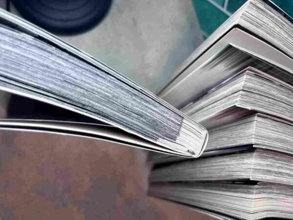 Biomega  :  Collection Complète 6 Tomes