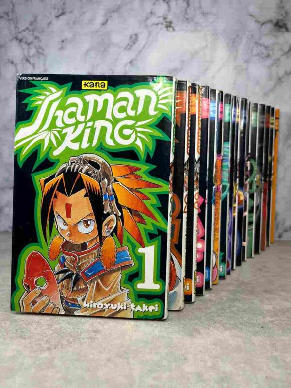 Les shamans ont le pouvoir de communiquer avec les esprits. Yoh brigue le titre de "Shaman king'. Aidé par ses amis et par Amidamaru, un esprit samouraï