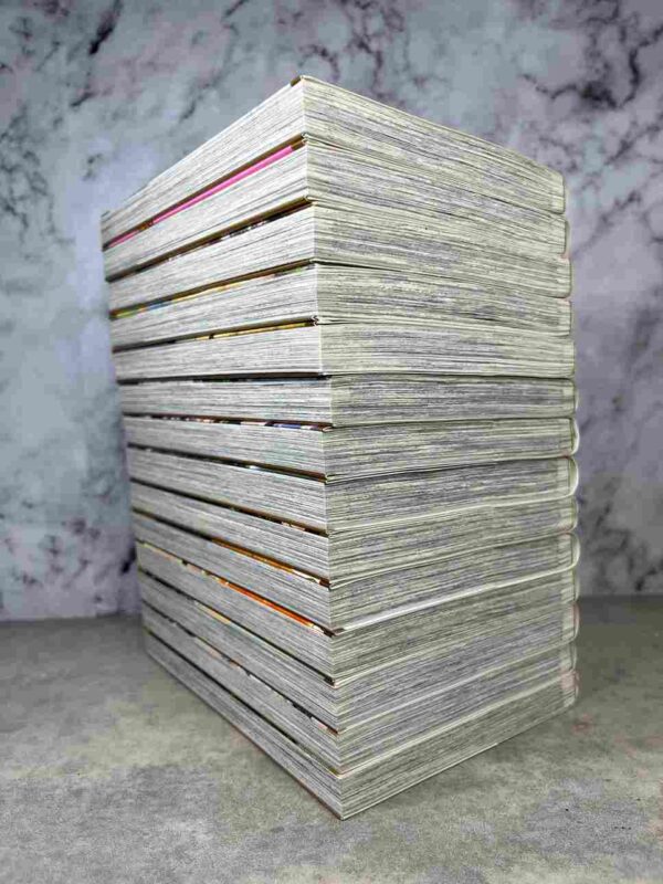 Crimson Hero   : collection complète 14 tomes