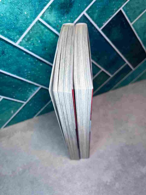 L'attaque Des Titans - Birth of livai : 2 Tomes