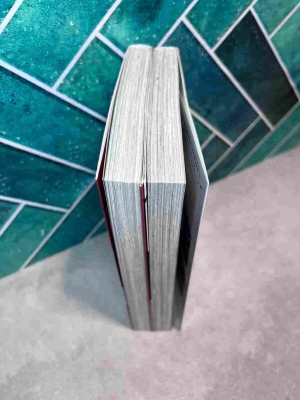 L'attaque Des Titans - Birth of livai : 2 Tomes