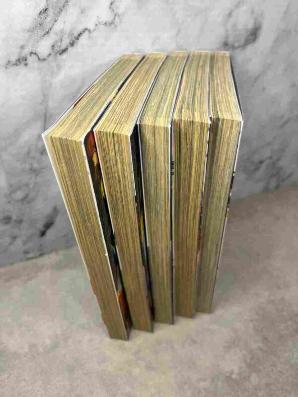 Gundam Seed : Collection complète - 5 Tomes